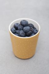 Trıxie Bambu Bardak Mr.Lion