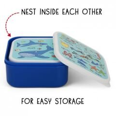 Tyrrell Katz 4 lü Beslenme Kutusu  OCEAN