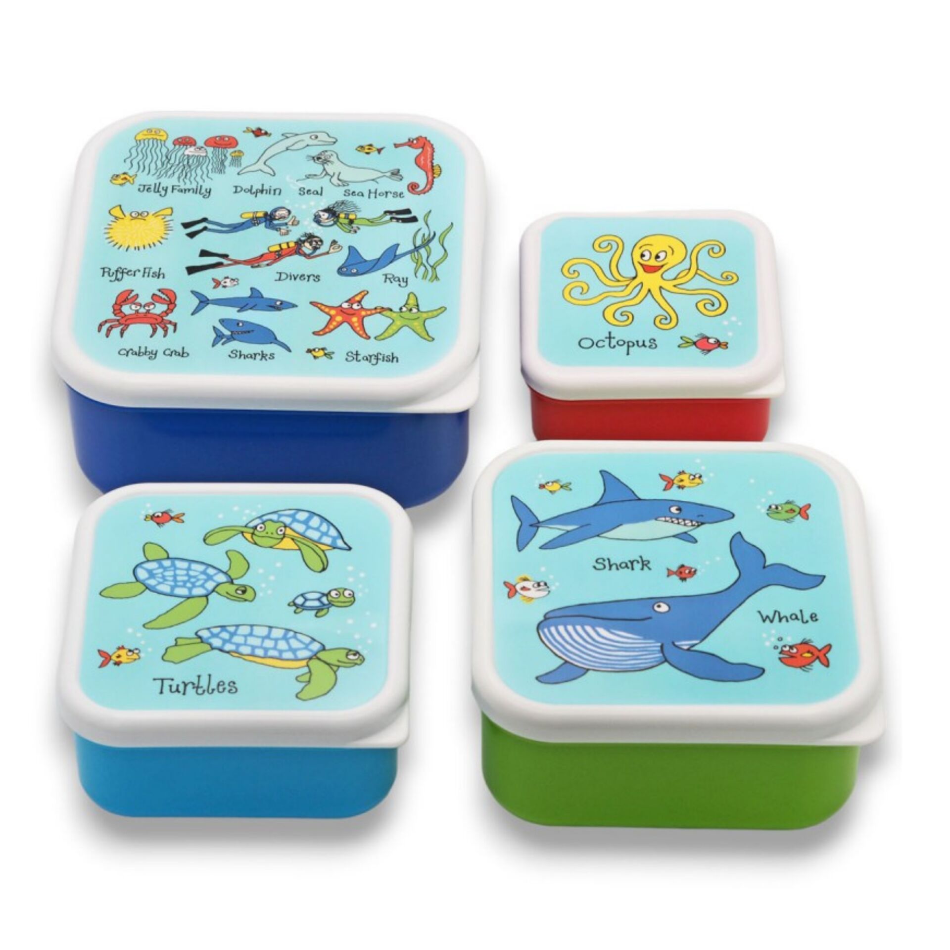 Tyrrell Katz 4 lü Beslenme Kutusu  OCEAN